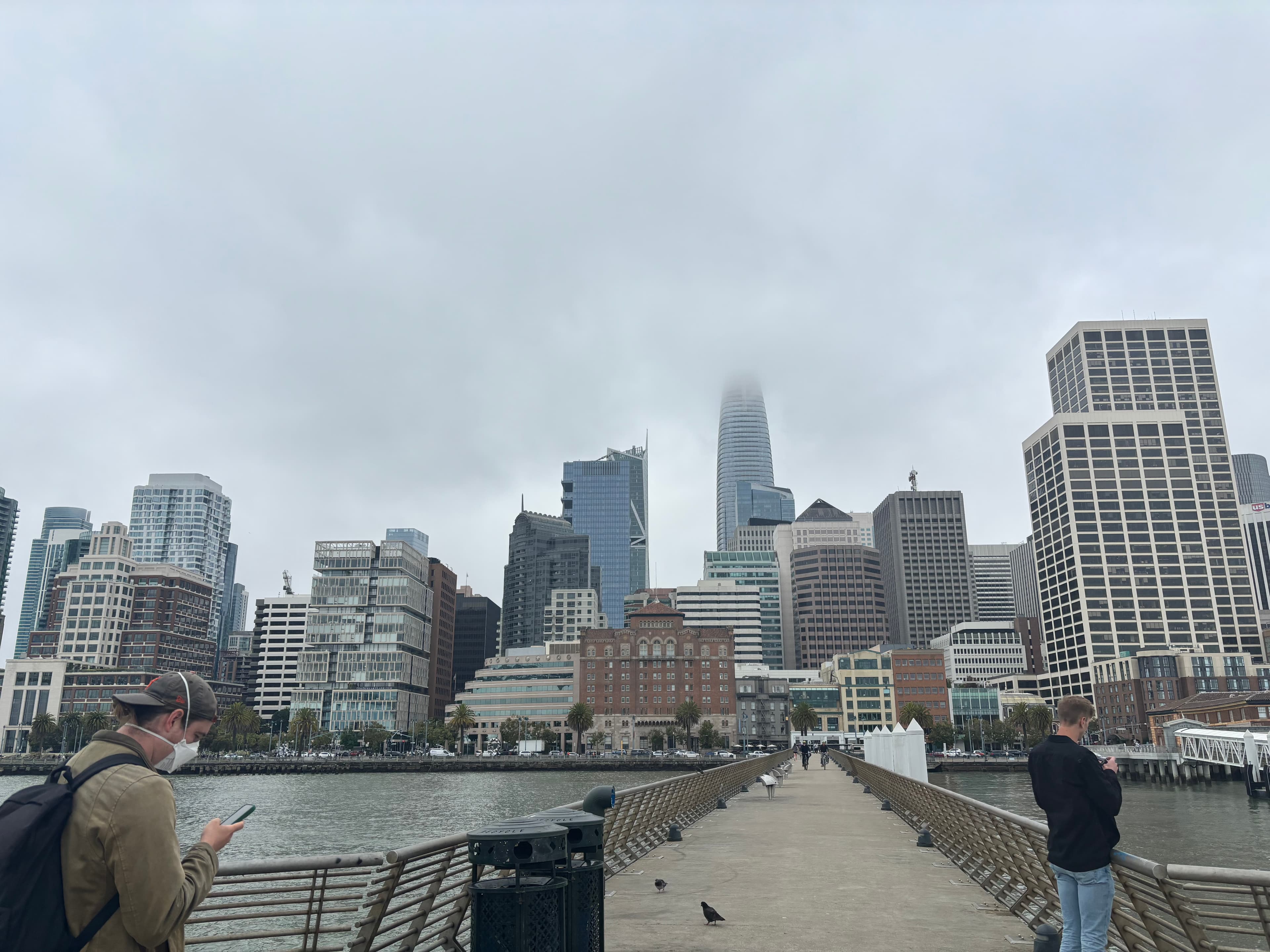 Quiz & Assignment Generator