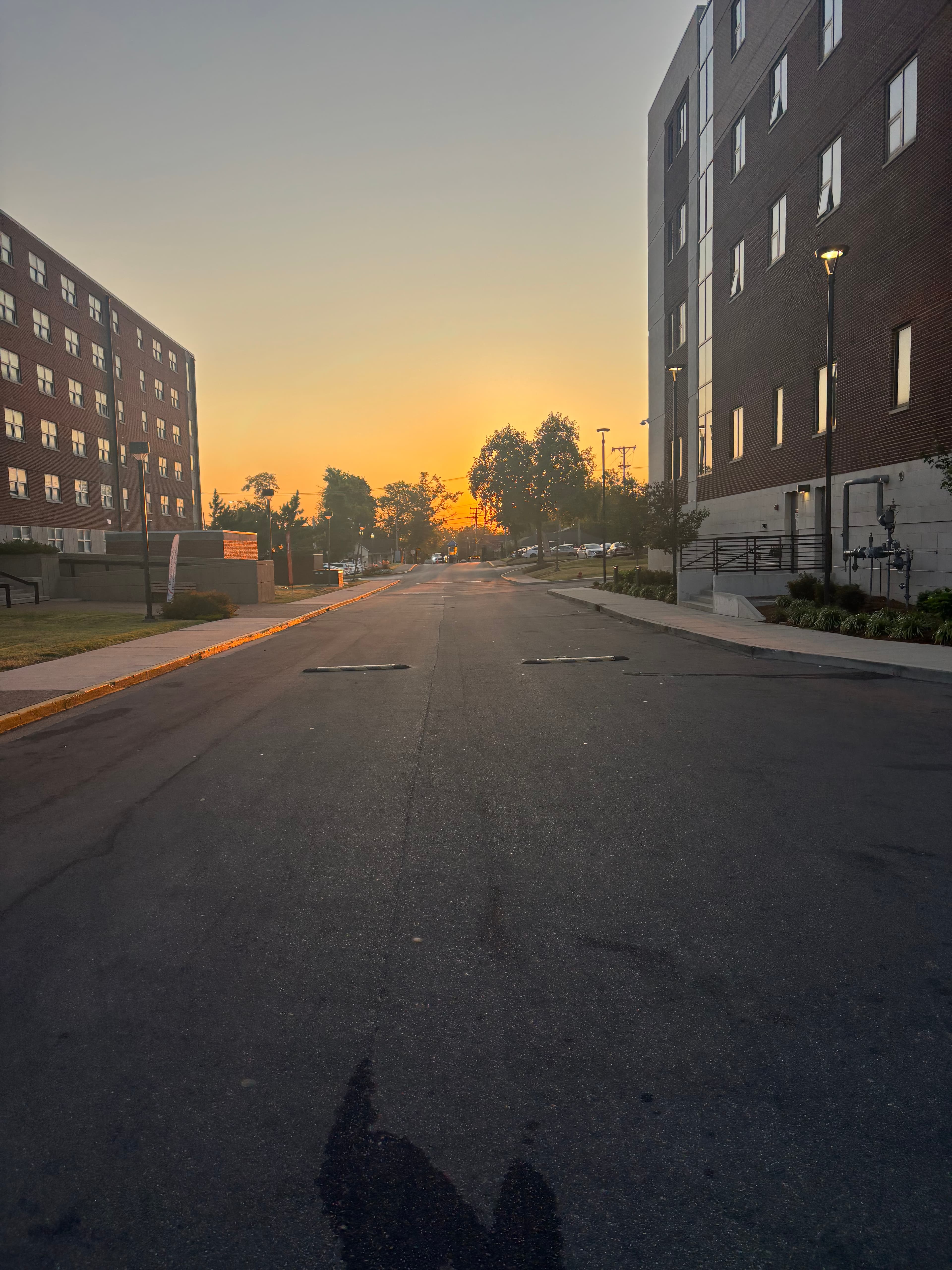 Chat-based Assistant